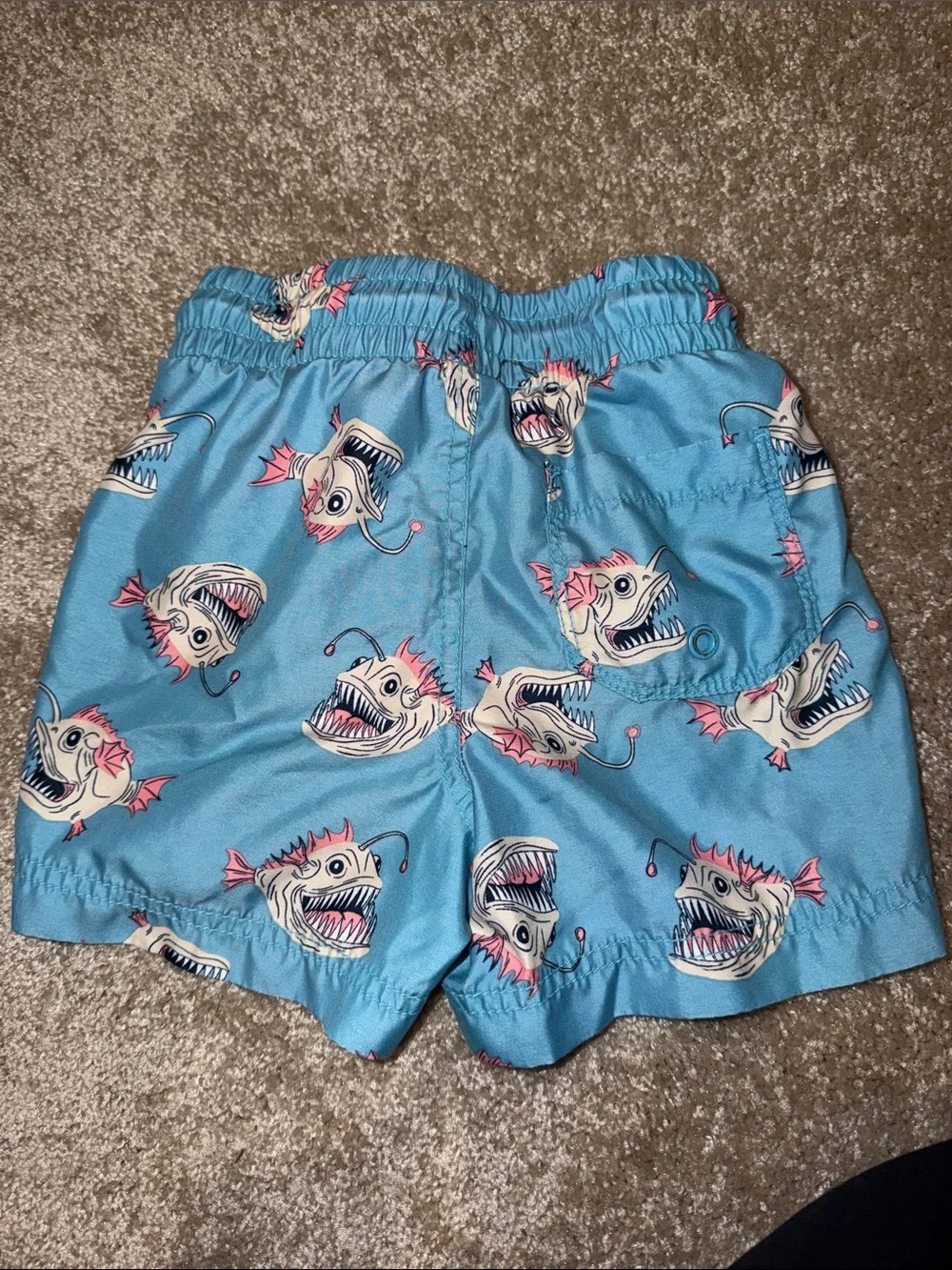 Boys Swim Trunks 4t, 5t and 5